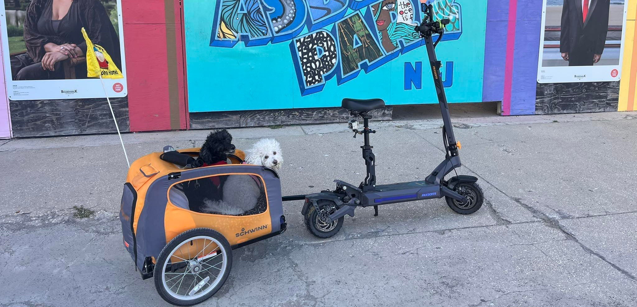 Ausom electric scooter with seat for heavy adults providing ergonomic support