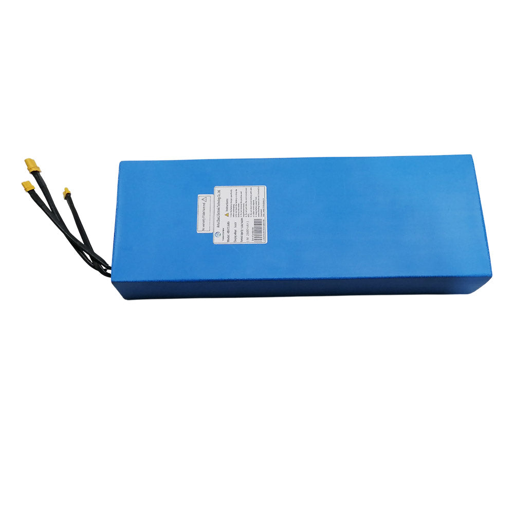 Ausom L1 Electric Scooter Battery